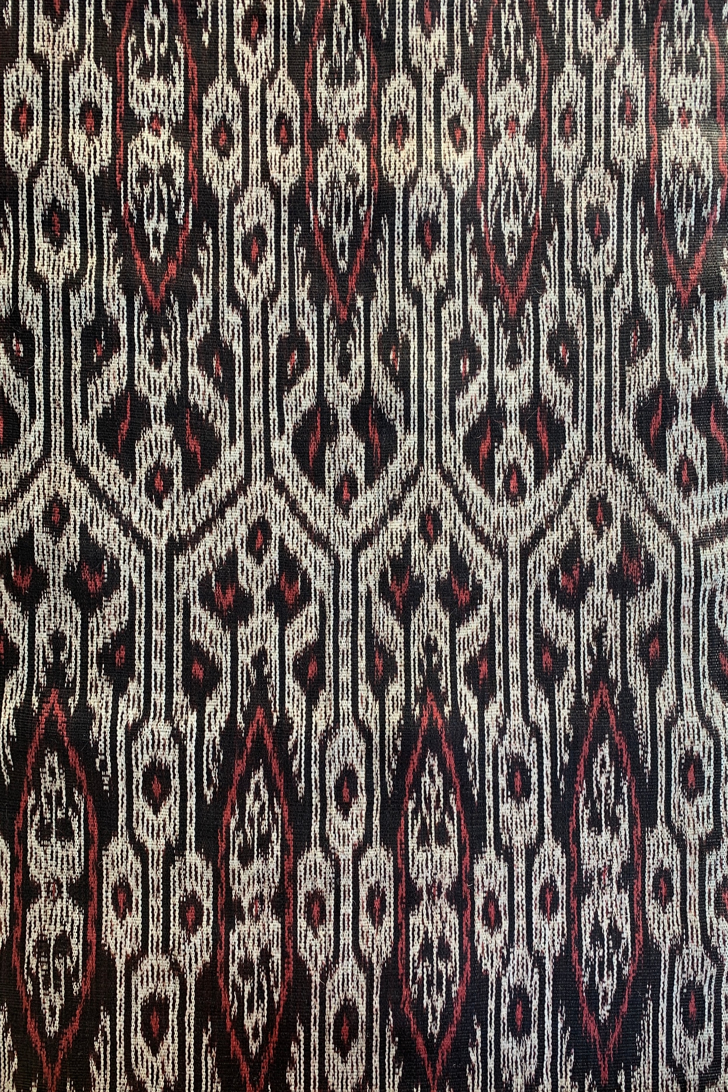 T'nalak - Banggala – ANTHILL Fabrics