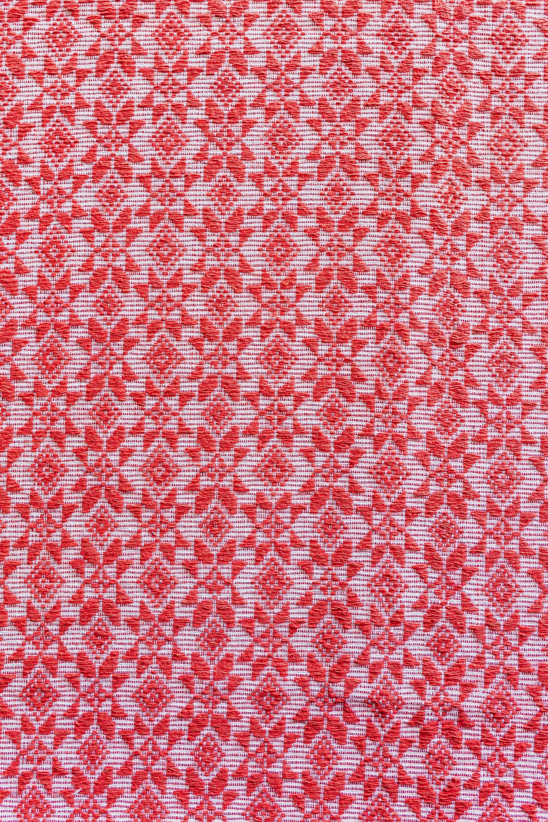 Pinilian 008 – ANTHILL Fabrics