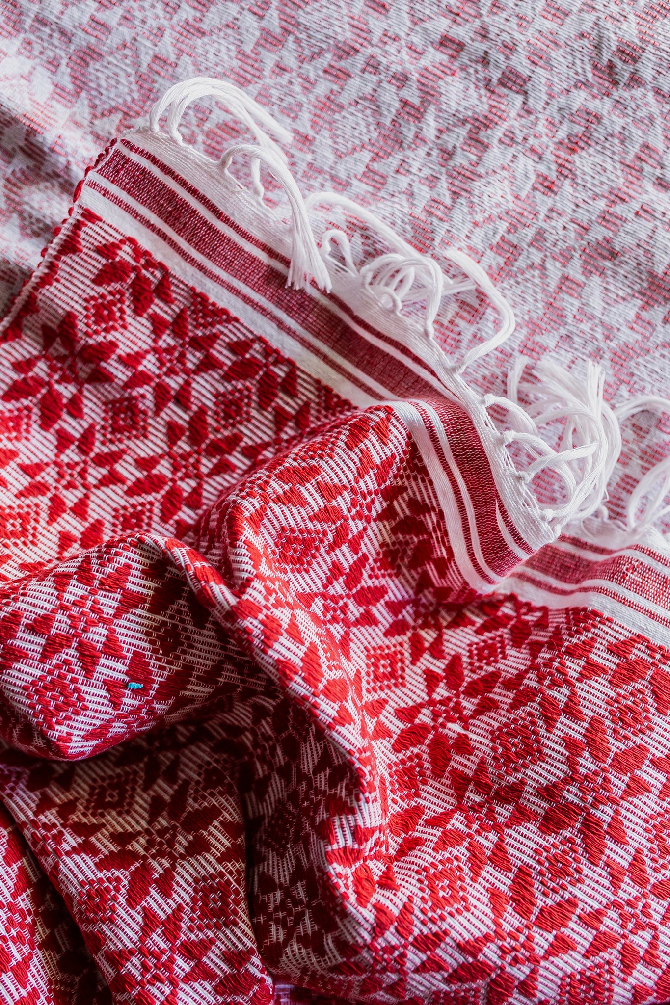 Pinilian 008 – ANTHILL Fabrics