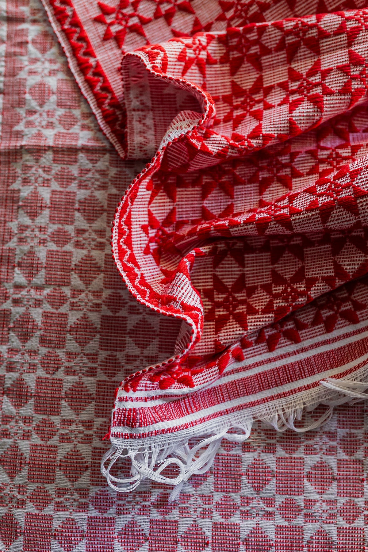 Pinilian – ANTHILL Fabrics